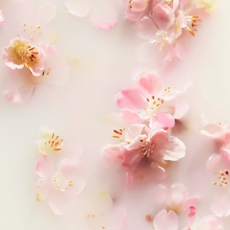 Rituals of Sakura Gift Set M